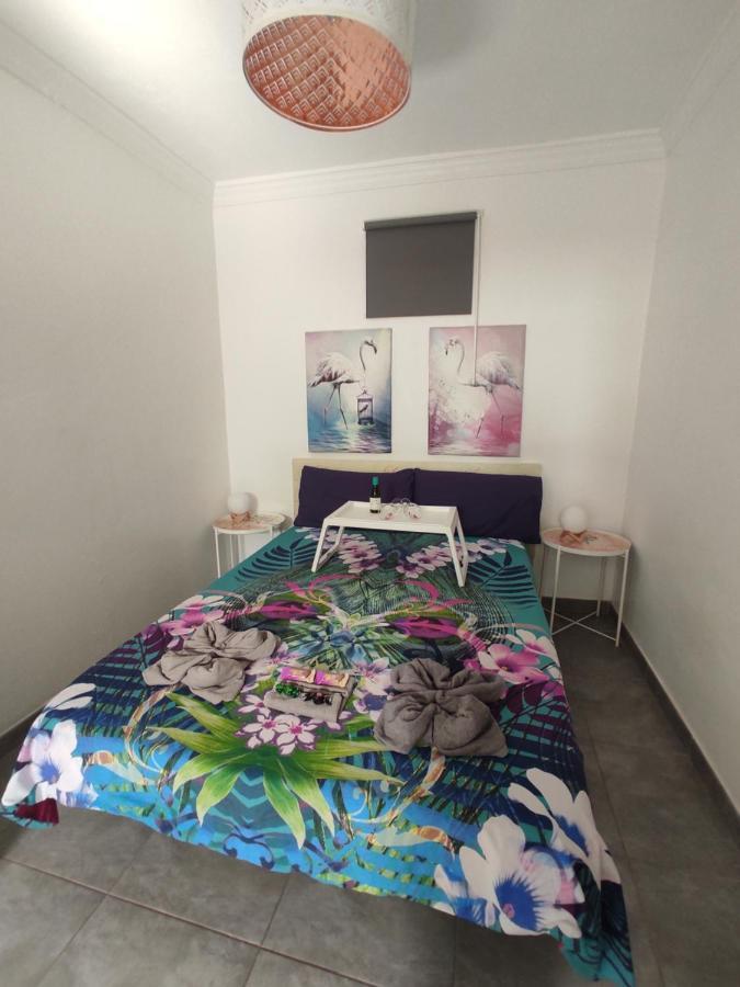Flamingo Suite With Terrace And Private Bath By Flamingo House Арресіфе Екстер'єр фото