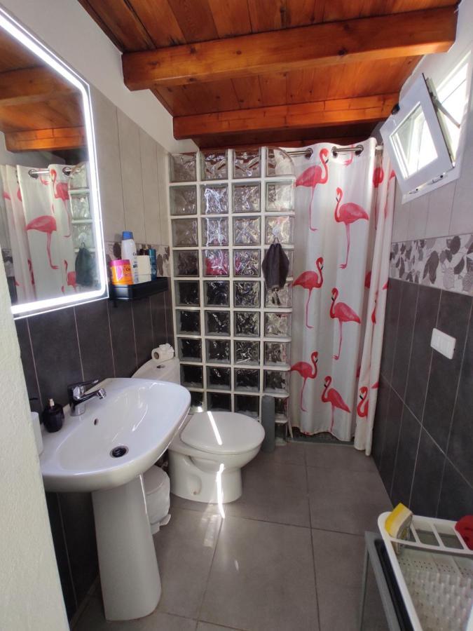 Flamingo Suite With Terrace And Private Bath By Flamingo House Арресіфе Екстер'єр фото
